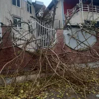 خدمات باغبانی هرسکاری کوددهی سم پاشی شمشاد