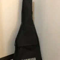 کیف وکاپو گیتار