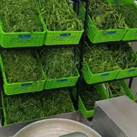 سبزی خردشده و سرخ شده ابلیمو طبیعی