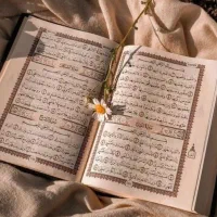 شر کتاب