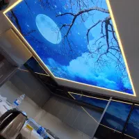فروش واجرای تخصصی سقف کشسان