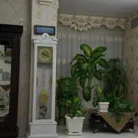 ساعت ایستاده