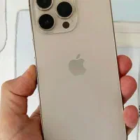 13 pro max