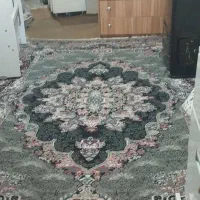 استخدام سریدار