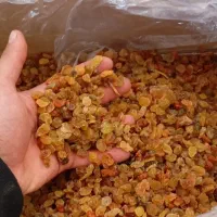 کشمش افتابی درجه یک
