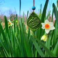 کربلا اربعین ارزان شد