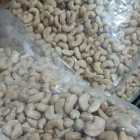 بادام هندی 240 سمبا موجودشد