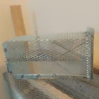 تله زنده گیری موش بزرگ تمام فلزی