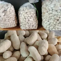 کشک گوسفندی محلی