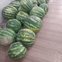 اجاره مغازه میوه فروشی