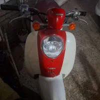 اسکپی 50 در حد