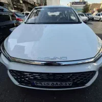بیجینگ تحویل روز نمایندگی/ رنگبندی