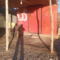 دکه فلزی 3*6وزن 700کیلو قیمت خوب به فروش میرسد