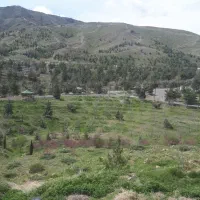 ورزش های زمستانی