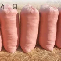 کاه عدس و کاه نخود