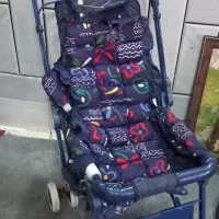 کالسکه سالم