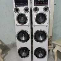 اسپیکرمیکرولب دوقلو درحدنو