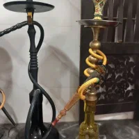 سالم