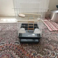 قفسه پرنده عروس هلندی