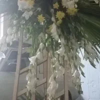 گل بسیار بزرگ و زیبا با پایه چوبی