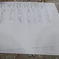 دوعدد دکوری