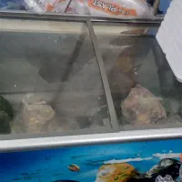 فروش کلیه وسایل غذای آماده