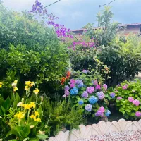 فروش-معاوضه-ویلا-دوبلکس-سنددار-کلارآباد-مازندران