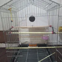 قفس پرنده