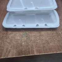 ظرف غذا فومی