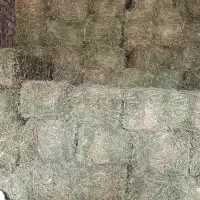 یونجه چین ۴ انباری