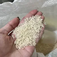 برنج هاشمی الک یک سورتینگ شده