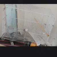 قفس پرنده