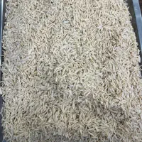 خلال بادام درختی