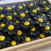 شمع محرمی