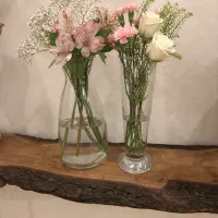 سه عدد گلدان شیشه‌ای و صورتی هرسه باهم ۵۰۰