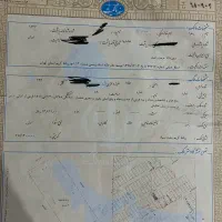 زمین جنوبی در عطر یاس