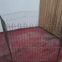 فنس اهنی برای سگ