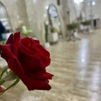 لاین فیشیال ومژه و‌ارایش دائم اجاره داده میشود