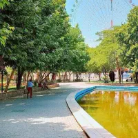 یار ورزشی