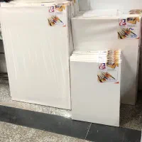 انواع بوم به قیمت عمده