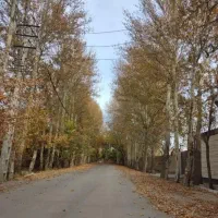 ۸۰۰ متر باغچه/سند تک برگ /چسب بافت مسکونی