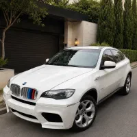 BMW X6 2010