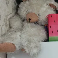 عروسک خرس متوسط