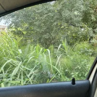 زمین-آلمان-پستک