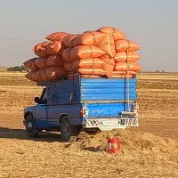 یونجه|خدمات باغبانی و درختکاری|یاسوج, |دیوار