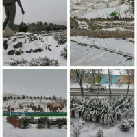 کانال آب و هوای تربت حیدریه
