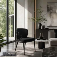صندلی مدل ترون