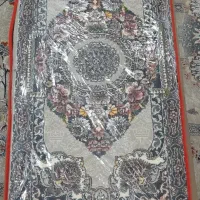 پشتی نو رنگ فیلی