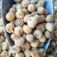 انجیر استهبان درشت سفید