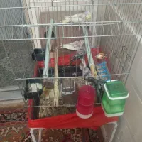 باسلام خدمت دوستان عزیز